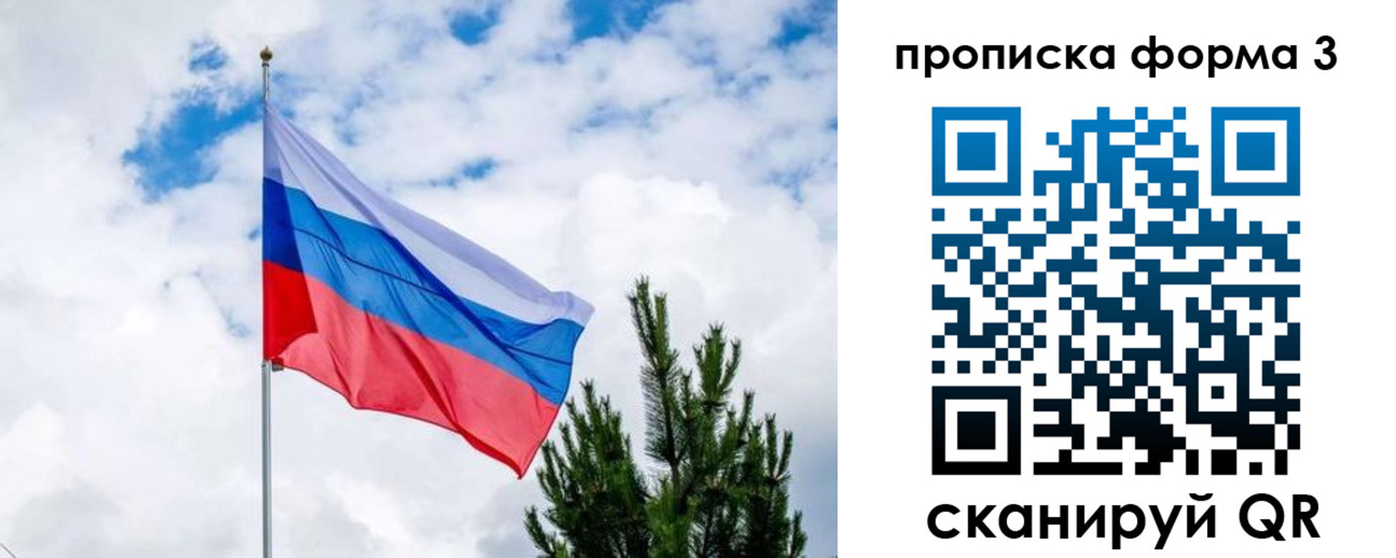 прописка для школы в Кораблино